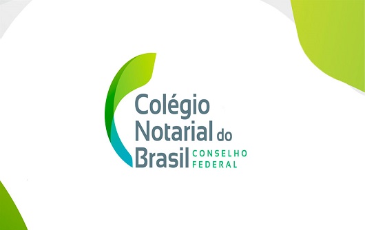 MANUAL DE ORIENTAÇÕES AO NOTARIADO SOBRE A APLICAÇÃO DO PROVIMENTO CNJ Nº 88/2019